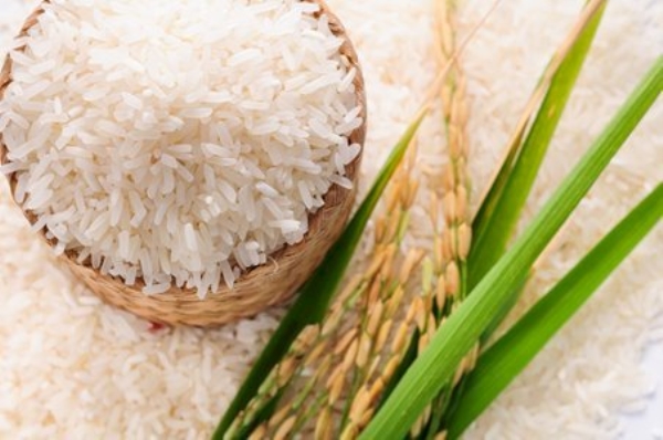 Gạo BC Thái Bình - Gạo Thành Nam - Công Ty Cổ Phần Nông Sản Thực Phẩm Thành Nam